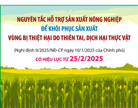 Nguyên tắc và mức hỗ trợ khi bị thiệt hại do thiên tai, dịch hại